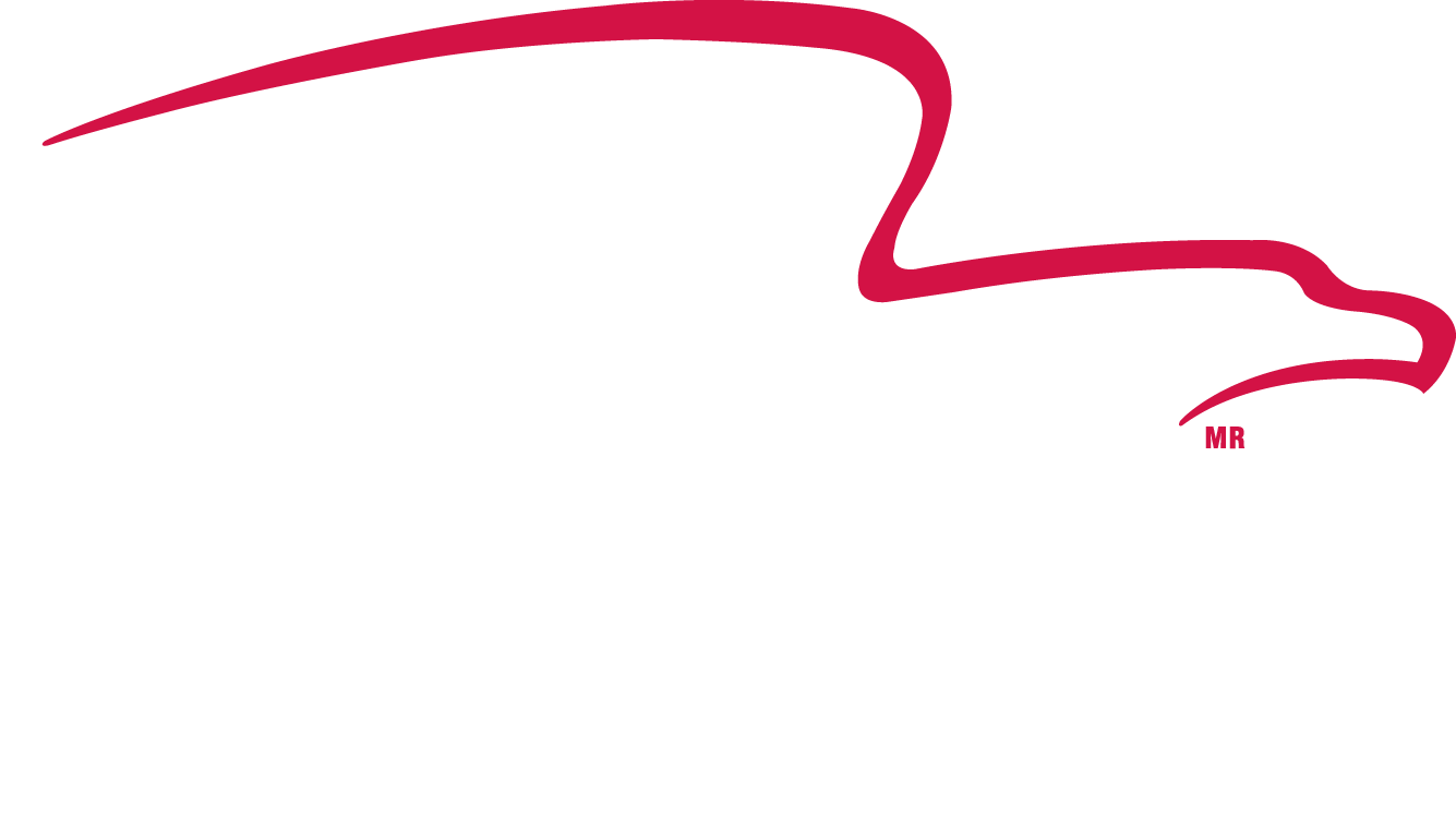El Aguila Compañía de Seguros
